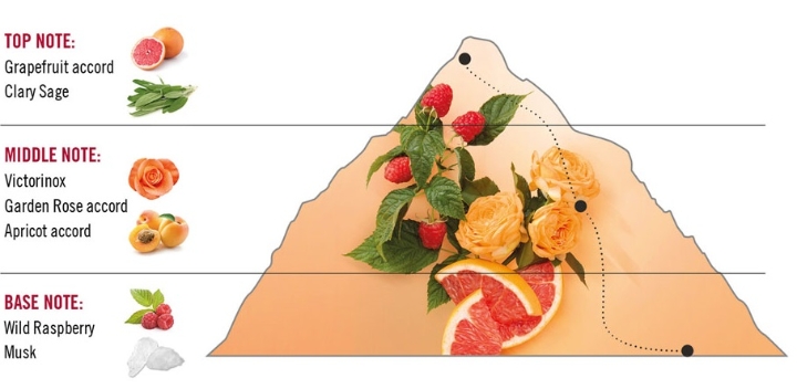 Obrazek Damska Woda Toaletowa Victorinox Swiss Army For Her Apricot Rose 100ml