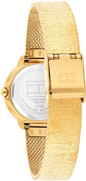 Obrazek Tommy Hilfiger Demi