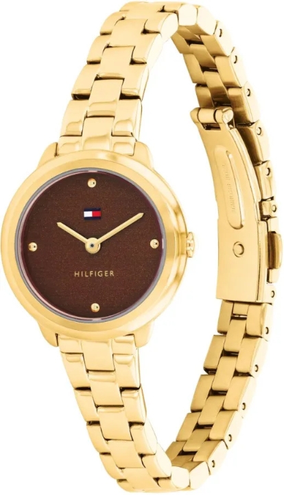 Obrazek Tommy Hilfiger Demi