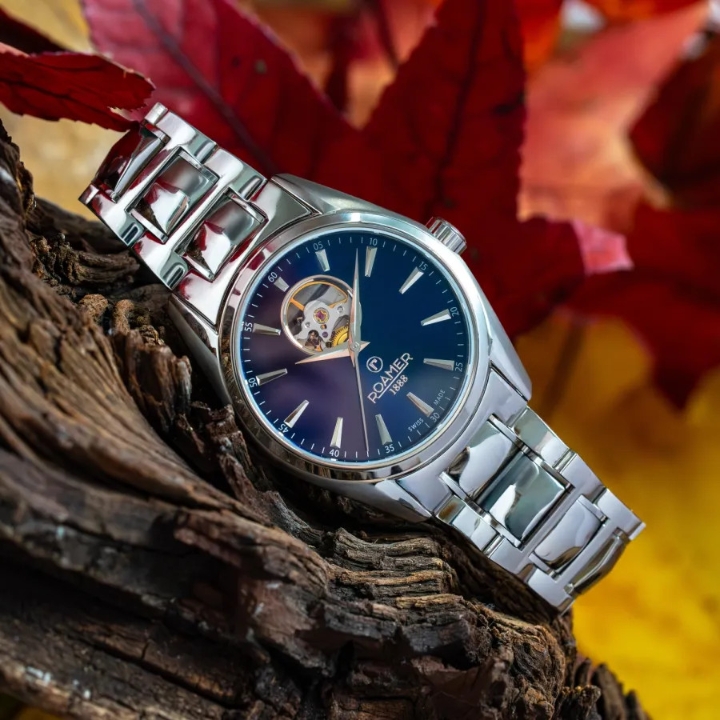 Obrazek Roamer Searock Master