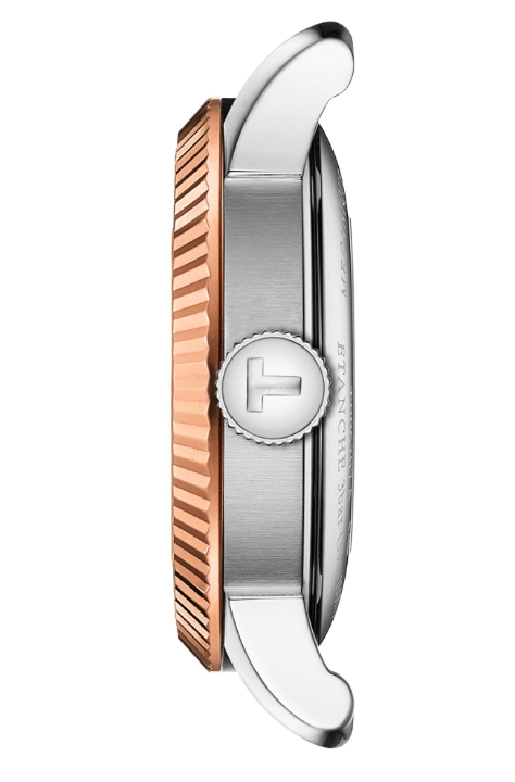 Obrazek TISSOT Tissot Le Locle Automatic Lady