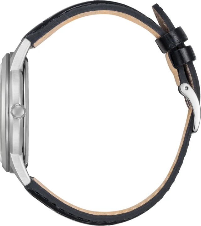 Obrazek Eco-Drive Elegance