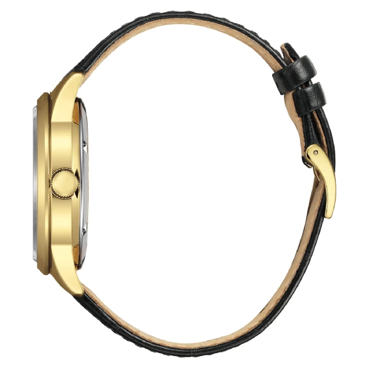 Obrazek Citizen Mechanical Automatic