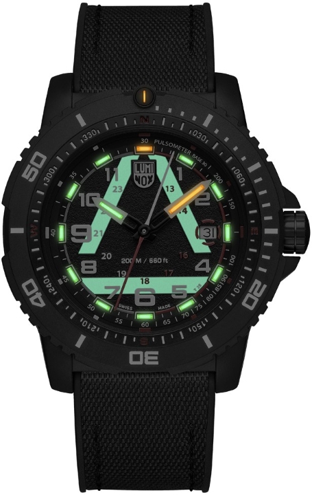Obrazek Luminox ICE-SAR 1080 Series