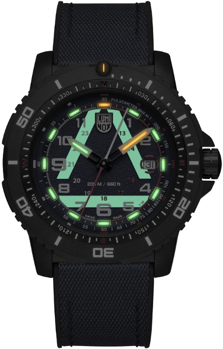 Obrazek Luminox ICE-SAR 1080 Series
