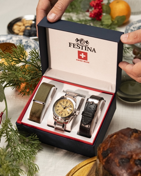 Obrazek Festina Swiss Made Field Watch