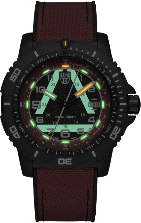 Obrazek Luminox ICE-SAR 1080 Series Limited Edition