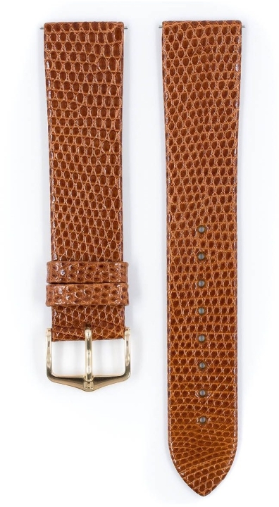 Obrazek Pasek Hirsch Lizard M