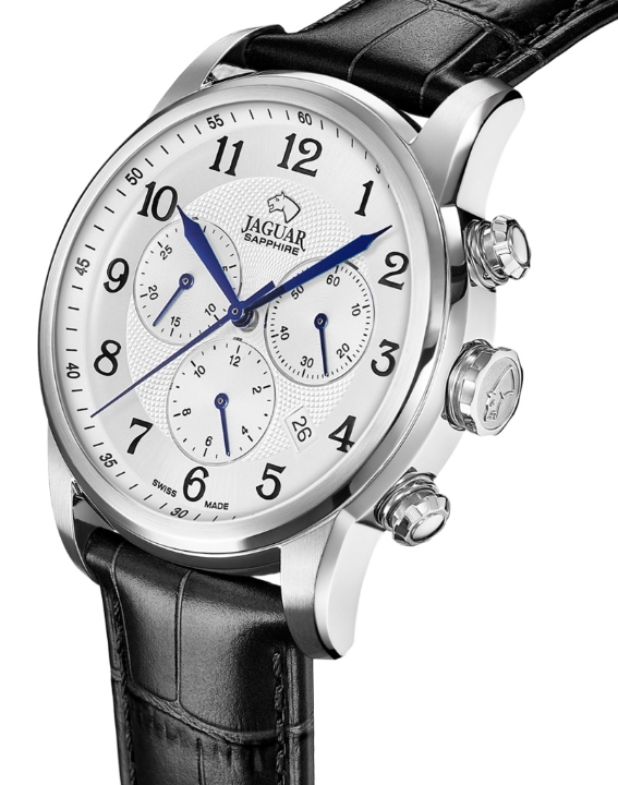 Obrazek Jaguar Acamar