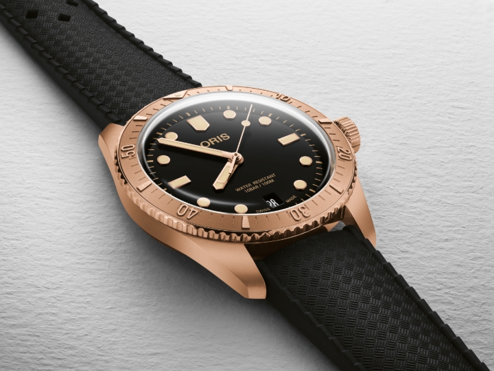 Obrazek Oris Divers Sixty-Five Sepia