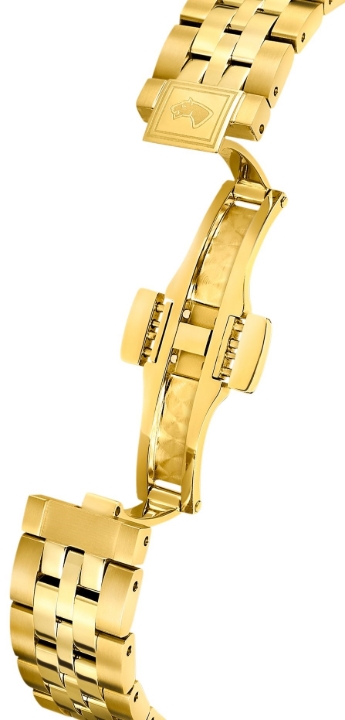 Obrazek Jaguar Automatic Héritage