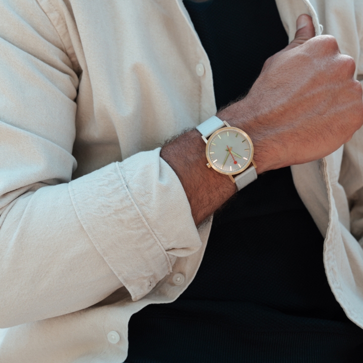 Obrazek MONDAINE Classic