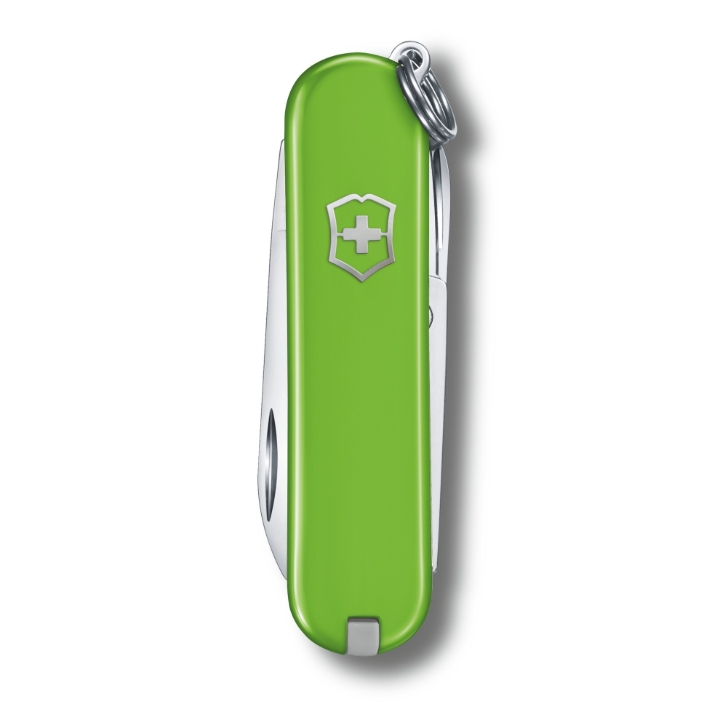 Obrazek Scyzoryk Victorinox Classic SD Colors, 58mm, Celidor, Smashed Avocado
