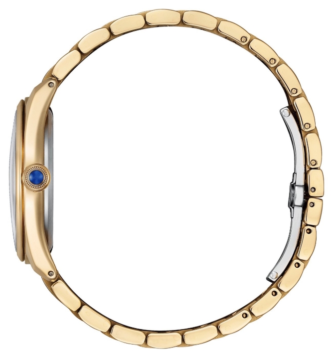 Obrazek Citizen L Lakeside at dawn