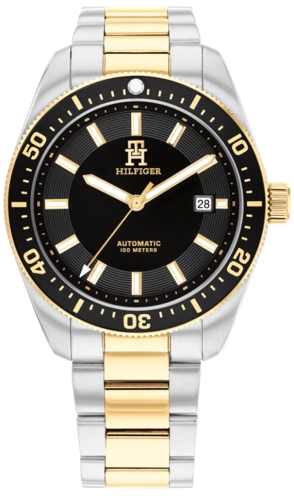 Obrazek TOMMY HILFIGER TH85