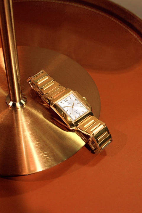 Obrazek Festina Classics