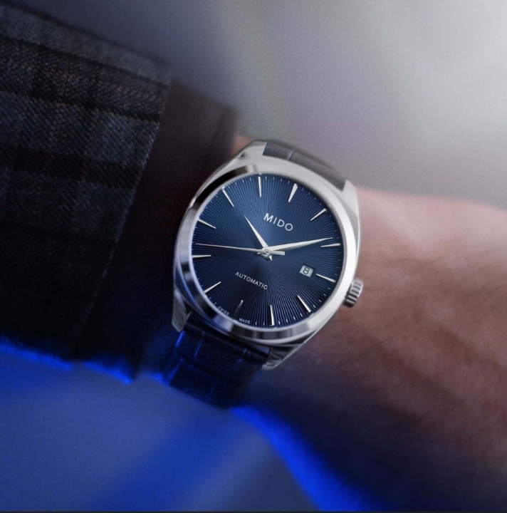 Obrazek Mido Belluna Royal Gent