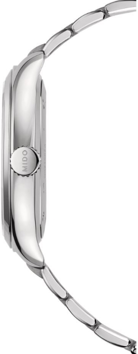 Obrazek Mido Belluna Royal Gent