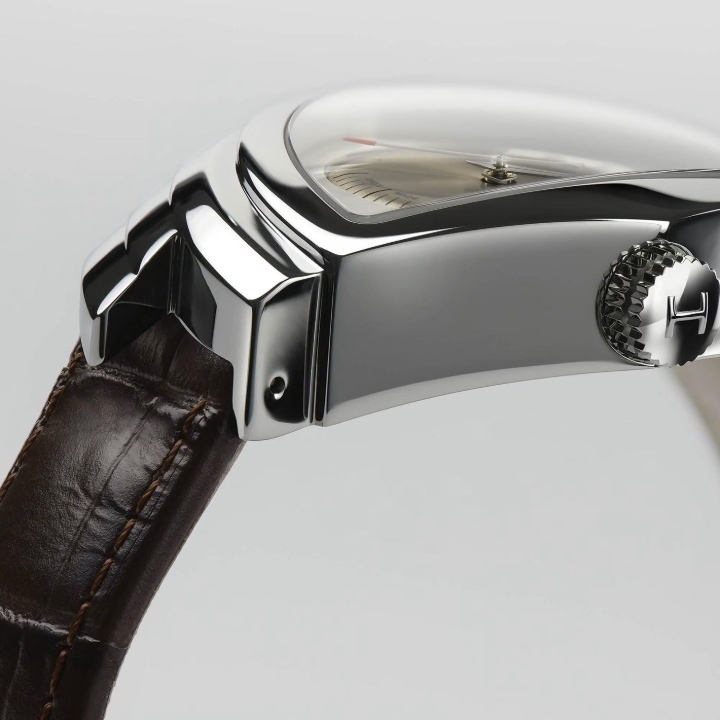 Obrazek Hamilton Ventura