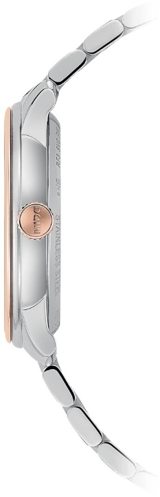 Obrazek Mido Baroncelli Heritage Lady