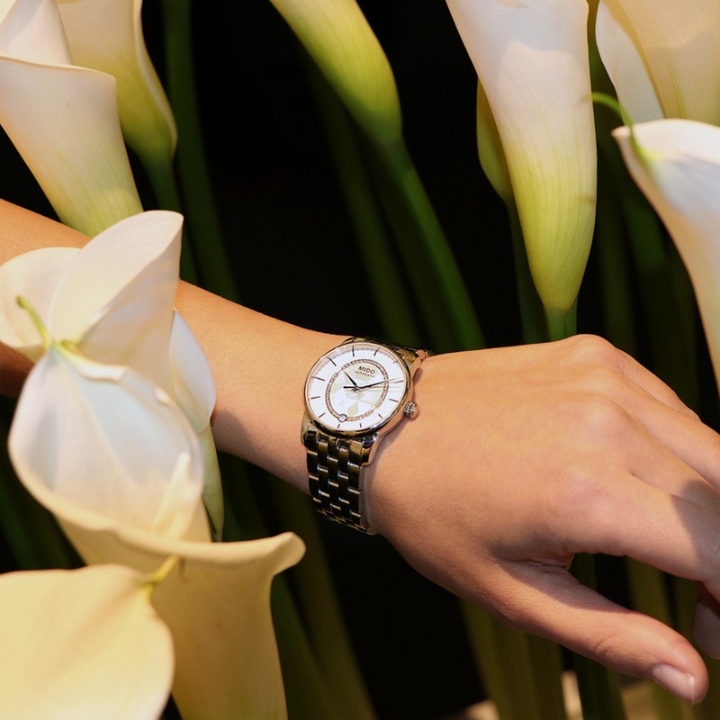 Obrazek Mido Baroncelli Prisma