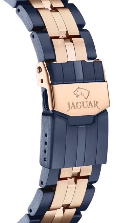 Obrazek Jaguar Special Edition