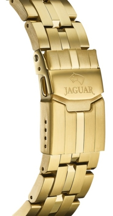 Obrazek Jaguar Executive