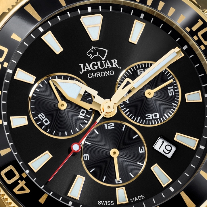 Obrazek Jaguar Executive Diver
