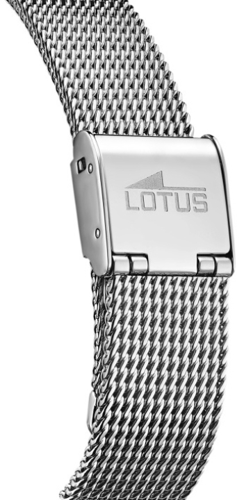 Obrazek Lotus Trendy