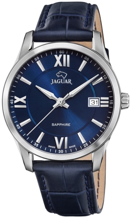 Obrazek Jaguar Acamar