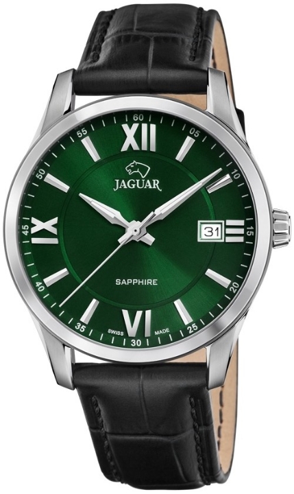 Obrazek Jaguar Acamar