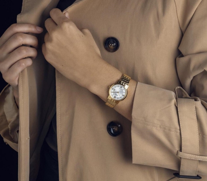 Obrazek Festina Swiss Made