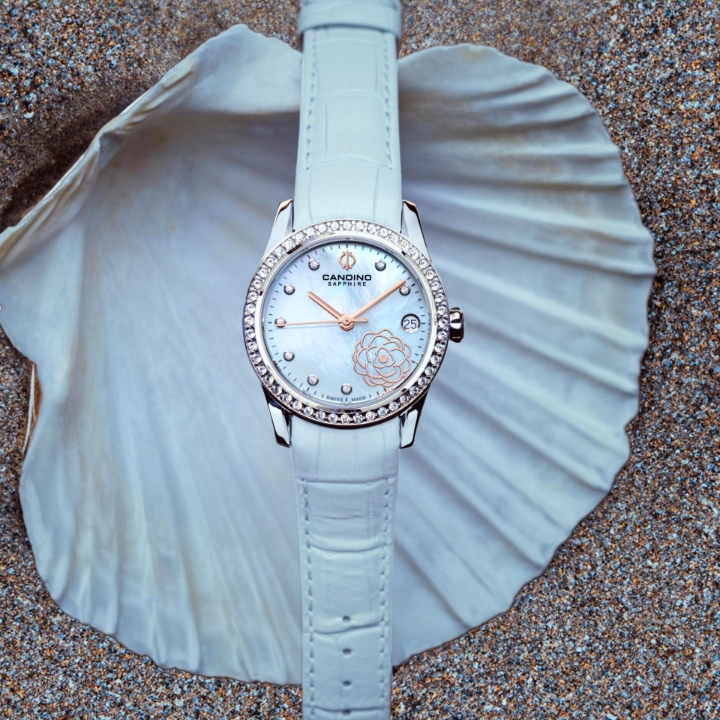 Obrazek Candino Lady Elegance