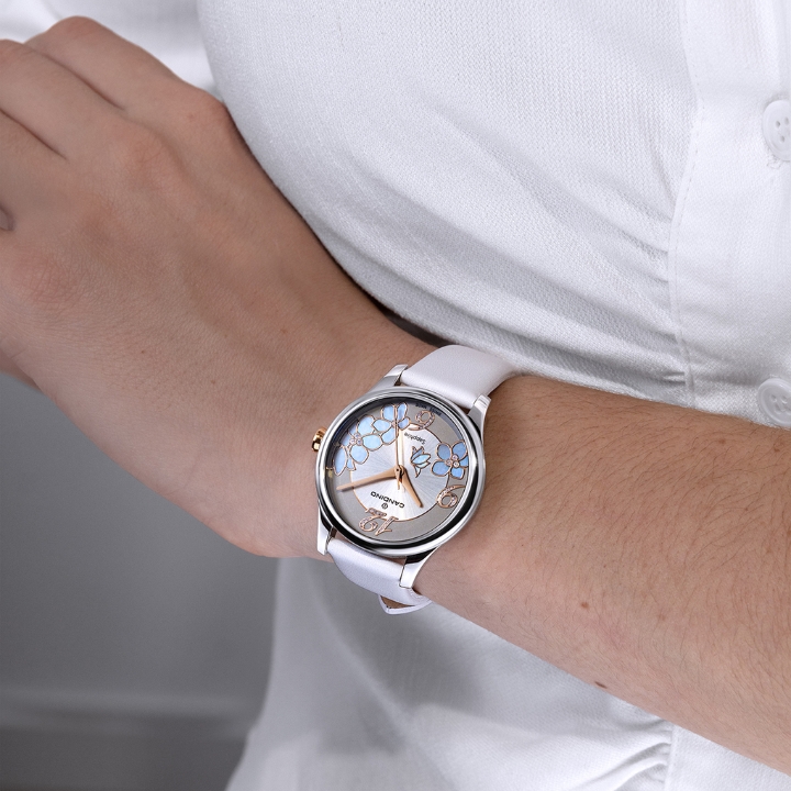 Obrazek Candino Lady Elegance