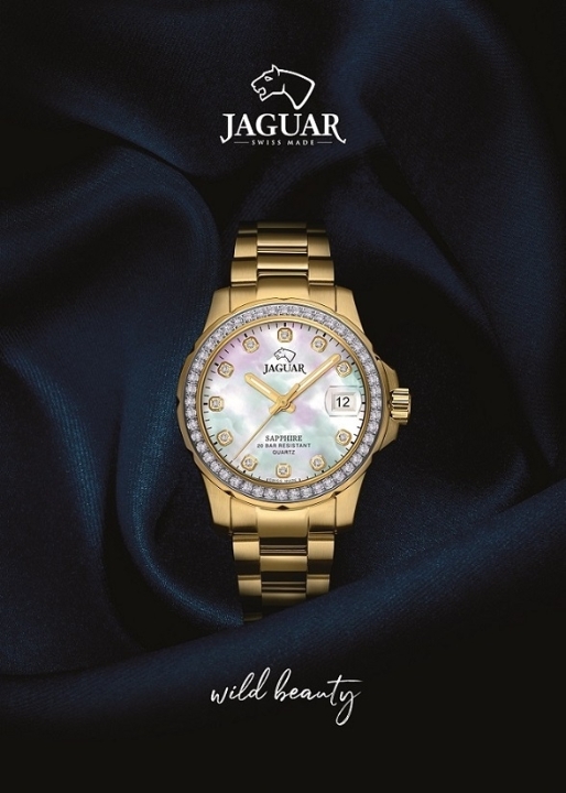 Obrazek Jaguar Executive Diver