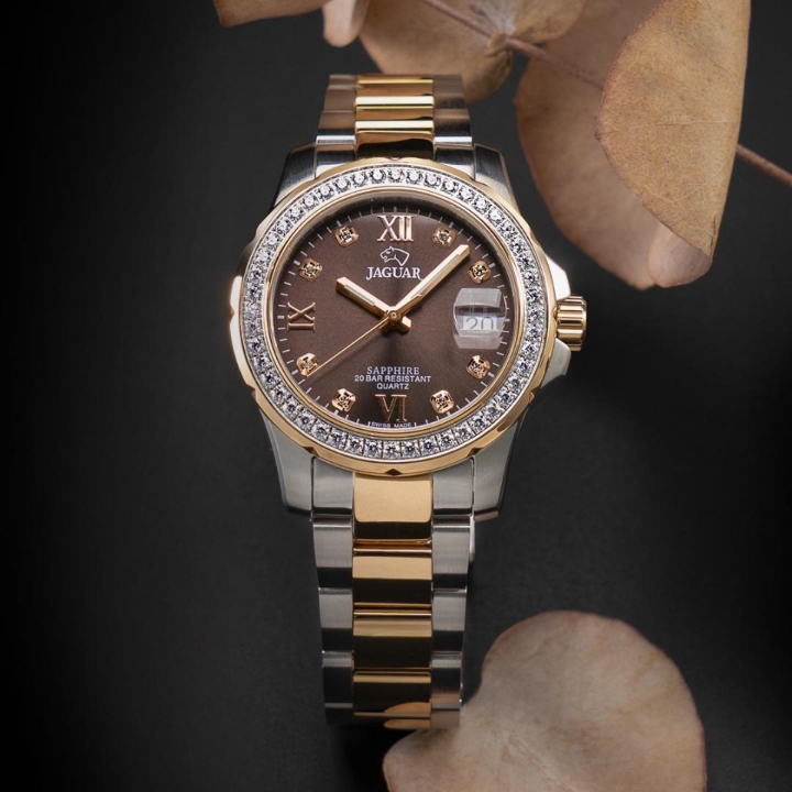 Obrazek Jaguar Executive Diver