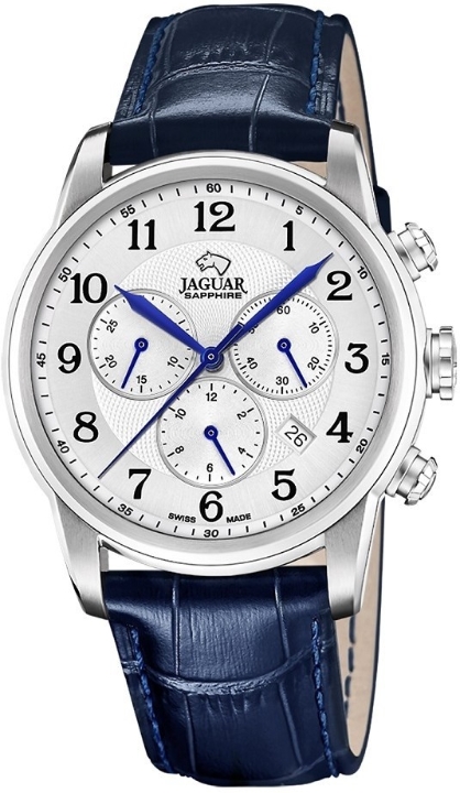 Obrazek Jaguar Acamar