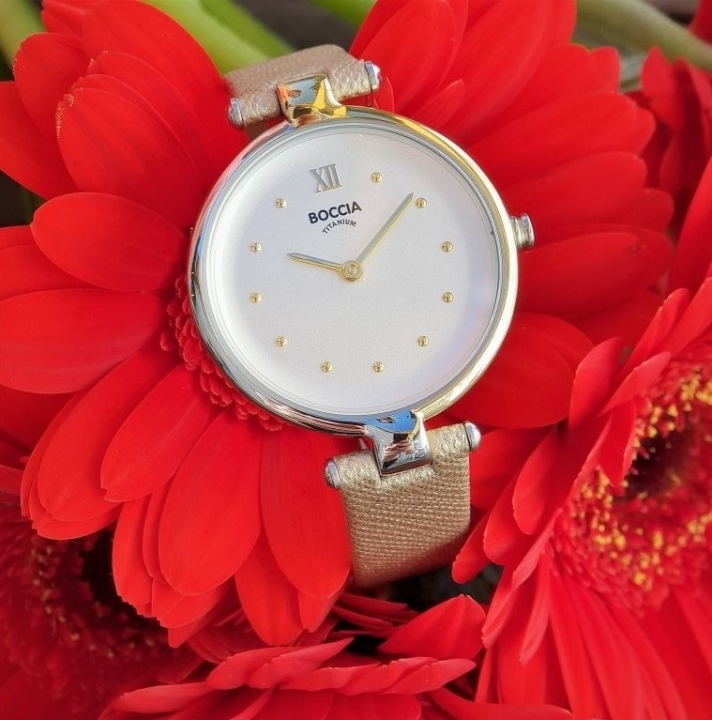 Obrazek Boccia Titanium