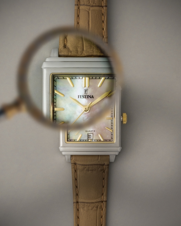 Obrazek Festina Classics