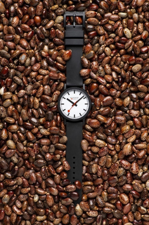 Obrazek MONDAINE Essence