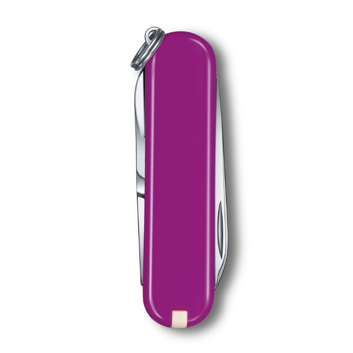 Obrazek Scyzoryk Victorinox Classic SD Colors, 58mm, Tasty Grape