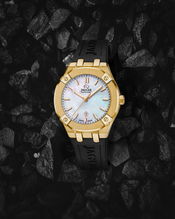 Obrazek Jaguar Diplomatic