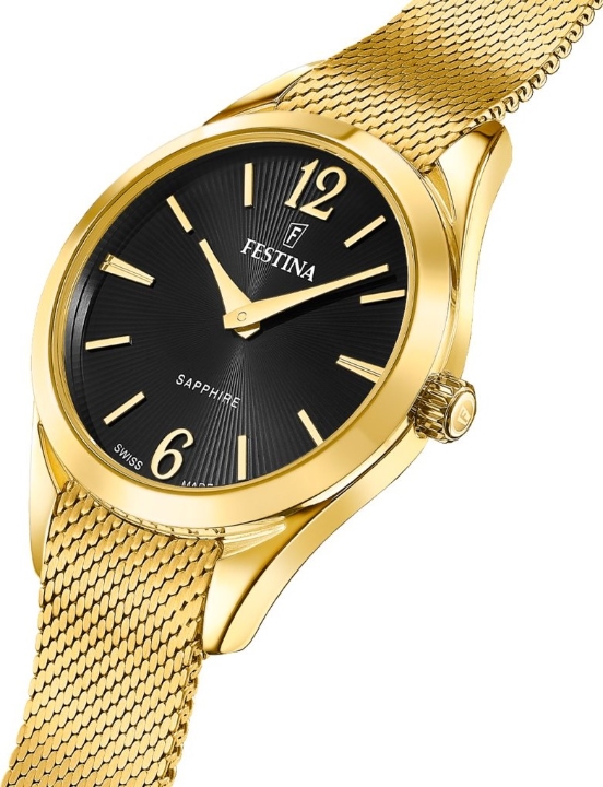 Obrazek Festina Swiss Made Grace