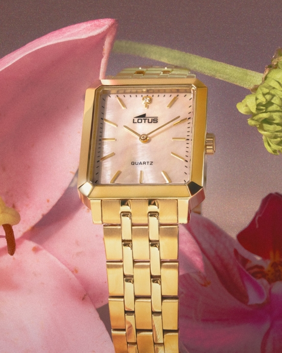 Obrazek Lotus Square Series