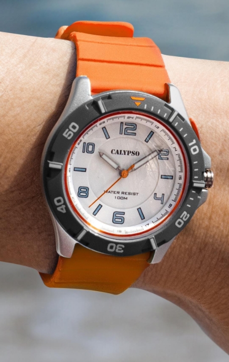 Obrazek CALYPSO SWEET TIME