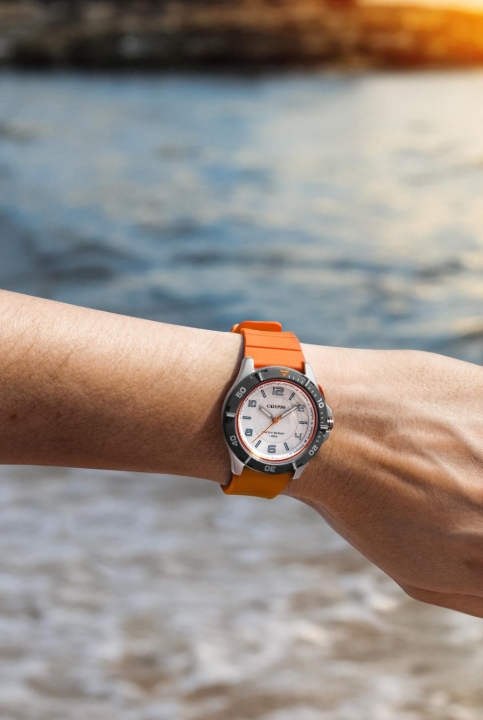 Obrazek CALYPSO SWEET TIME