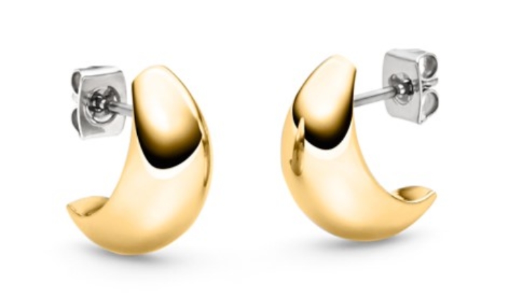 Obrazek BOCCIA TITANIUM kolczyki