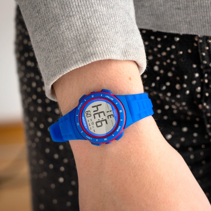 Obrazek Calypso Junior