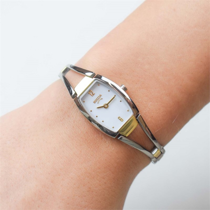 Obrazek Boccia Titanium