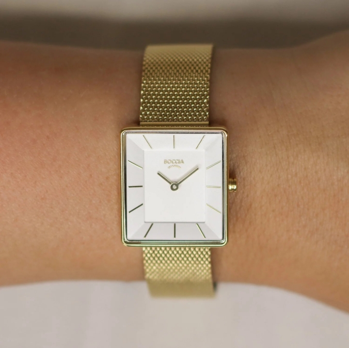 Obrazek Boccia Titanium